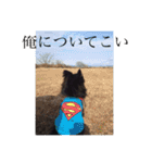 澤田びび（個別スタンプ：14）