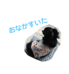 澤田びび（個別スタンプ：16）