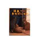 にゃんこ三兄弟2（個別スタンプ：18）