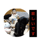 愛犬ウィル（個別スタンプ：17）