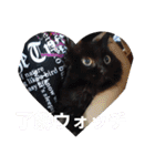 愛犬ウィル（個別スタンプ：31）