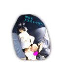 シスターズドッグ2（個別スタンプ：1）