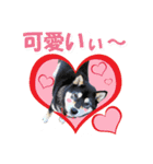 黒柴の女の子、カリンのスタンプです。（個別スタンプ：2）