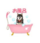 黒柴の女の子、カリンのスタンプです。（個別スタンプ：40）