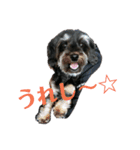 我らがレイチェル（個別スタンプ：2）