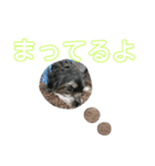 我らがレイチェル（個別スタンプ：5）