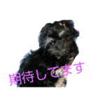 我らがレイチェル（個別スタンプ：12）