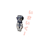 我らがレイチェル（個別スタンプ：13）
