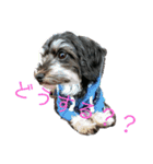 我らがレイチェル（個別スタンプ：14）