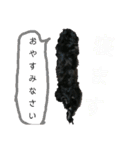 我らがレイチェル（個別スタンプ：15）