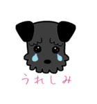 マルのキモチ（個別スタンプ：19）