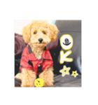 ロワ助さんのスタンプ2（個別スタンプ：1）