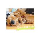ロワ助さんのスタンプ2（個別スタンプ：7）
