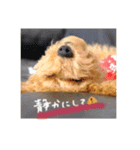 ロワ助さんのスタンプ2（個別スタンプ：10）