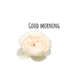 薔薇、スズラン、アナベルのスタンプ（個別スタンプ：2）