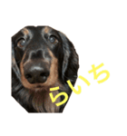 ふじけんず！（個別スタンプ：4）