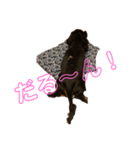ふじけんず！（個別スタンプ：6）