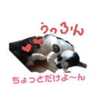 猫 心の声1（個別スタンプ：9）
