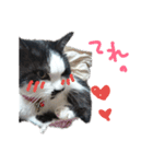 猫 心の声1（個別スタンプ：17）