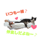 猫 心の声1（個別スタンプ：20）