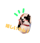猫 心の声1（個別スタンプ：21）