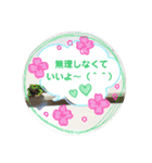 HAPPYSTICKER1（個別スタンプ：3）