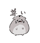 ハムチャン！！！（個別スタンプ：5）