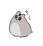 ハムチャン！！！（個別スタンプ：13）
