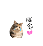にゃんこな日常。（個別スタンプ：4）