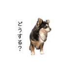 愛しのろっきゅん（個別スタンプ：3）