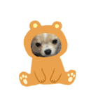 ToRa♡（個別スタンプ：3）