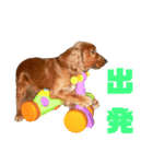 ペローだよ全員集合！（個別スタンプ：4）