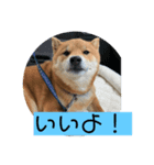 ほのぼの元気くん（個別スタンプ：8）