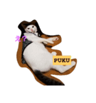 pukutechi stamps（個別スタンプ：2）