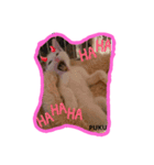 pukutechi stamps（個別スタンプ：3）