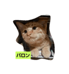pukutechi stamps（個別スタンプ：6）