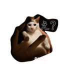 pukutechi stamps（個別スタンプ：7）