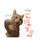 小林家の愉快なぺっと達。（個別スタンプ：5）