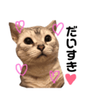 ぶちゃかわなけんぺ♡♡♡（個別スタンプ：2）