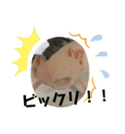 うーちゃんくろちゃんの可愛いスタンプ（個別スタンプ：5）