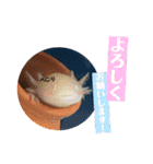 うーちゃんくろちゃんの可愛いスタンプ（個別スタンプ：16）