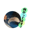 うーちゃんくろちゃんの可愛いスタンプ（個別スタンプ：17）