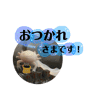 うーちゃんくろちゃんの可愛いスタンプ（個別スタンプ：18）