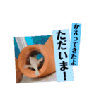 うーちゃんくろちゃんの可愛いスタンプ（個別スタンプ：21）