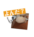 うーちゃんくろちゃんの可愛いスタンプ（個別スタンプ：23）
