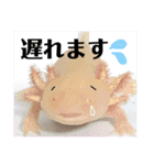 うーちゃんくろちゃんの可愛いスタンプ（個別スタンプ：25）