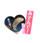 うーちゃんくろちゃんの可愛いスタンプ（個別スタンプ：28）