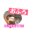 うーちゃんくろちゃんの可愛いスタンプ（個別スタンプ：29）