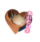 うーちゃんくろちゃんの可愛いスタンプ（個別スタンプ：30）