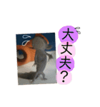 うーちゃんくろちゃんの可愛いスタンプ（個別スタンプ：31）